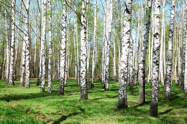 Similar image 654519