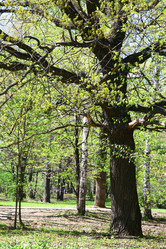 Similar image 654520