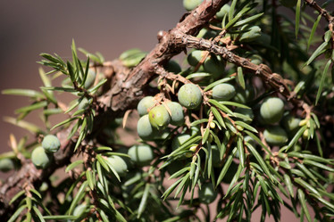 Similar image 654522