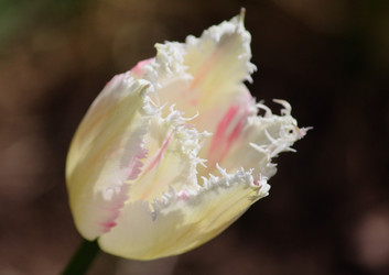 Similar image 654526