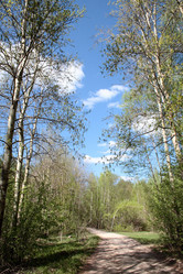 Similar image 654539