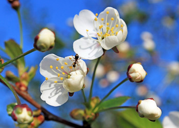 Similar image 654540