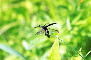 Similar image 654542