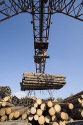 Similar image 654552