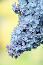 Similar image 654581