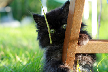 Similar image 654583