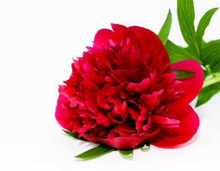 Similar image 654603