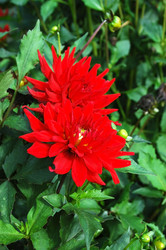 Similar image 654608