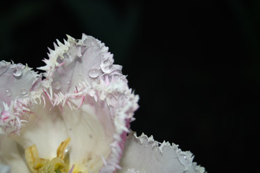 Similar image 654609