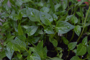 Similar image 654619