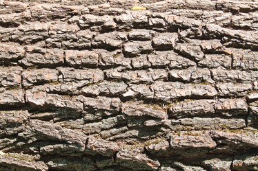 Similar image 654639