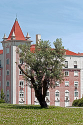 Similar image 654653