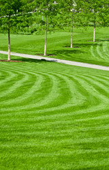 Similar image 654668