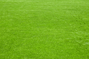 Similar image 654671