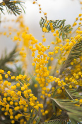 Similar image 654711