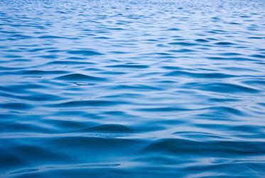 Similar image 654769