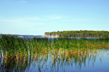 Similar image 654978