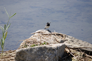 Similar image 654996