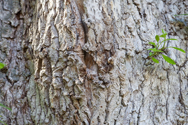 Similar image 654999