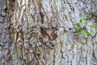 Similar image 655004