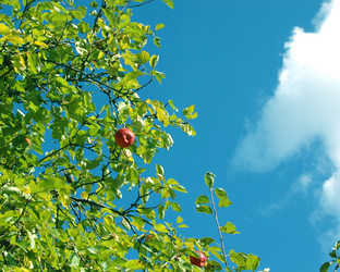 Similar image 655009