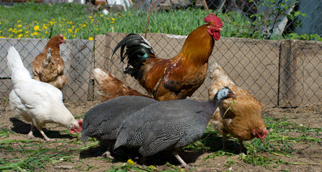 Similar image 655032