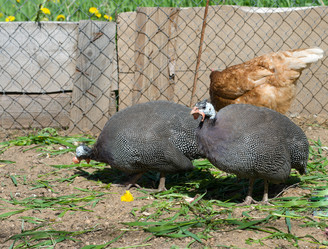 Similar image 655035