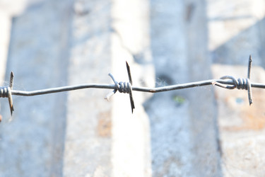 Similar image 655162