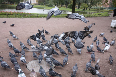 Similar image 655163