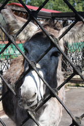 Similar image 655166