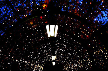 Similar image 655170