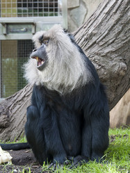 Similar image 655206