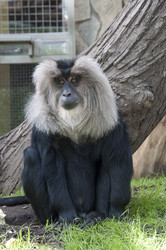 Similar image 655207