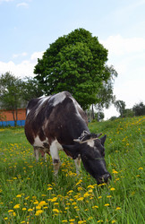 Similar image 655225