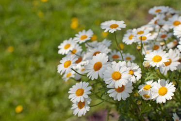 Similar image 655249