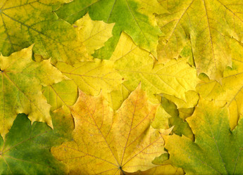 Similar image 655259