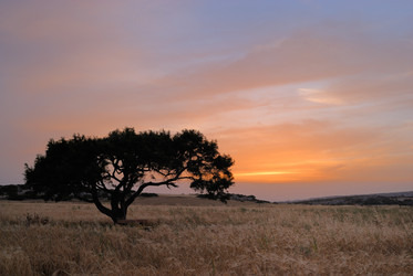 Similar image 655274