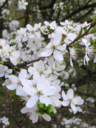 Similar image 655287