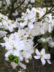 Similar image 655288