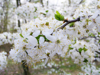 Similar image 655289