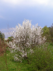 Similar image 655298