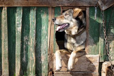 Similar image 655302