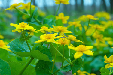 Similar image 655317