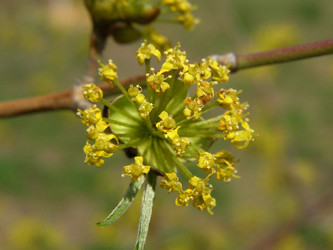 Similar image 655327