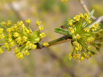 Similar image 655328