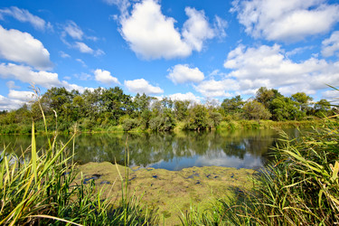 Similar image 655329