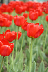 Similar image 655331