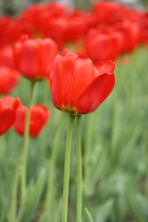 Similar image 655333