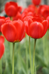 Similar image 655335