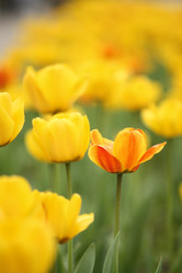 Similar image 655336